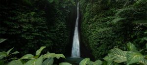 Read more about the article 6 Amazing Waterfall, you need to visit while take vacation in Bali