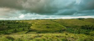 Read more about the article Teletubbies Hill Nusa Penida: A Perfect Escape from Bali’s Crowd
